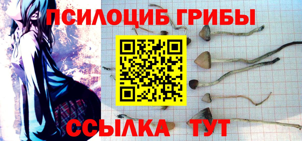 Галлюциногенные грибы прущие грибы  Вход с VPN  Южно-Сахалинск 