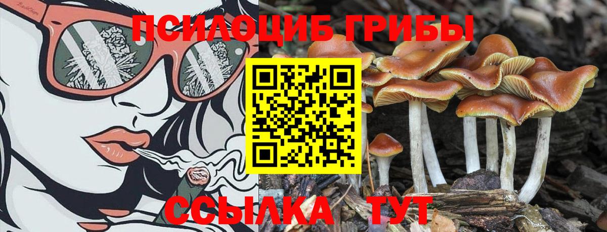Галлюциногенные грибы мицелий Южно-Сахалинск